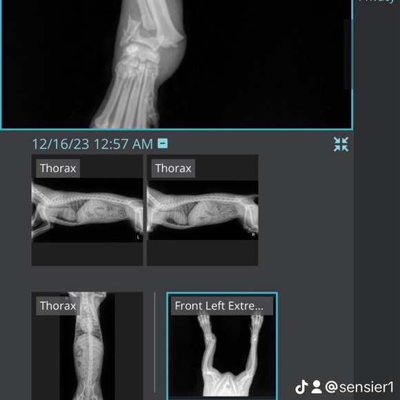 Meet your Posher, Sen Offers Accepted - Picture 6 of 6